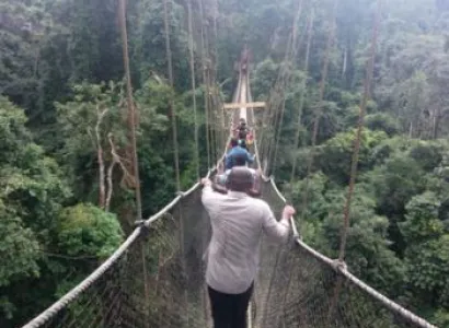 Safari & Festival Tour