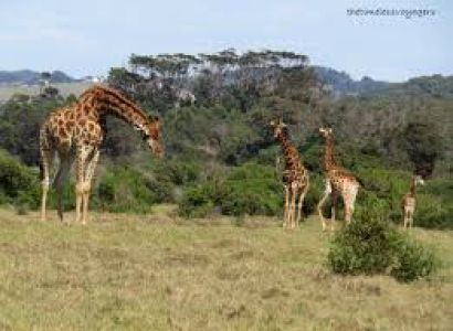 Kragga Kamma Game Park Package