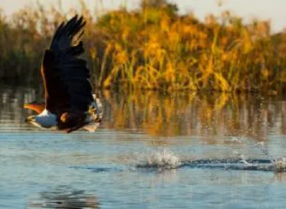 9 Days Kruger to Durban via Swaziland Package