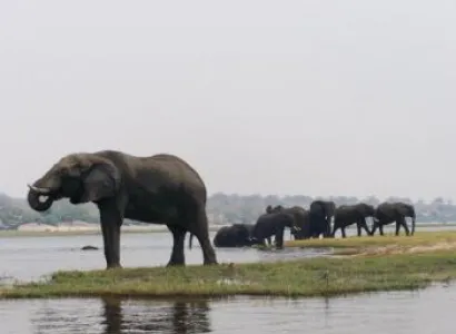 7 Days Kruger & Swaziland Safari Package