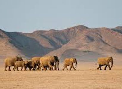 11 Days Ultimate Namibia Wilderness Package