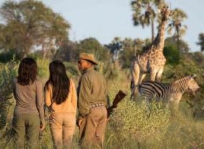 Botswana Safari Package