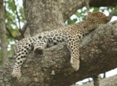 Botswana Diamonds tour