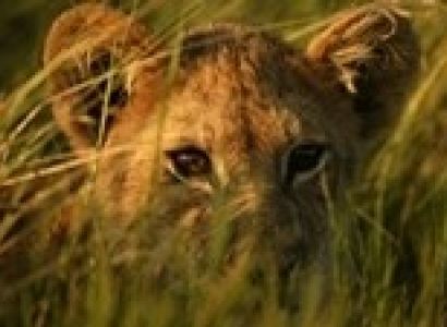 Southern Africa Five Rivers Build Your Own Safari Tour