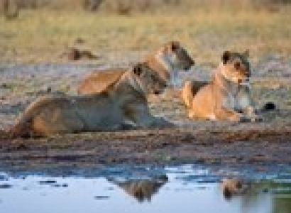 Falls & Wildlife of Zimbabwe