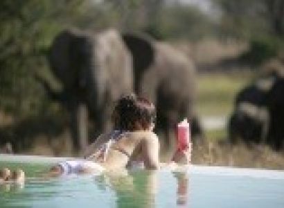 Under South African Stars Tour