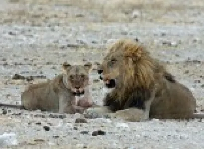 Namibia Explorer By Air