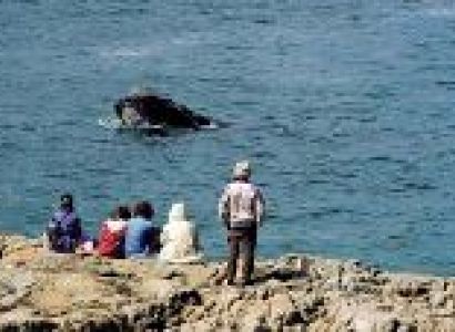 Wildlife, Wine & Garden Route Tour