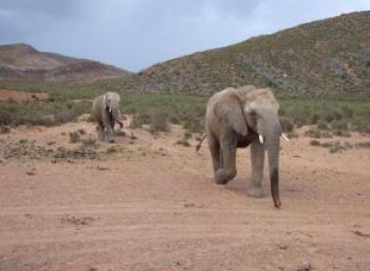 South Africa Self Drive Tour Package