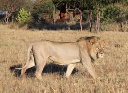 16 Day Botswana Wildlife Adventure Camping Safari Package