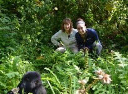Gorilla Safari in Uganda Package