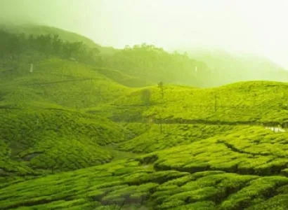 Wayanad Tour with Vythiri Treehouse