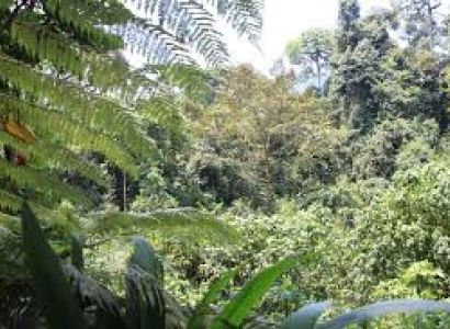 15 Days Uganda Wilderness Safari Package