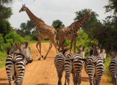 3 Days Zanzibar Safari Package
