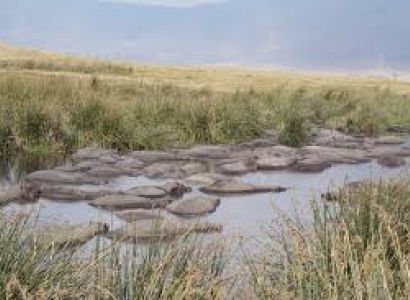 6 Days Tanzanian Wilds Package