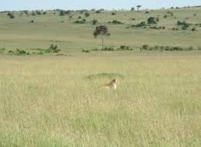 3 Days Amboseli Camping Safari Package