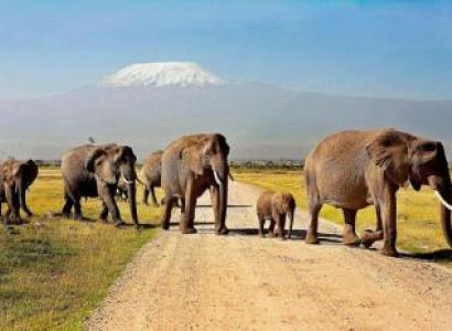 6 Days Kenya Exclusive Safari Package