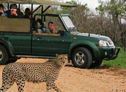 4 Days Classic Tanzania Safari Package