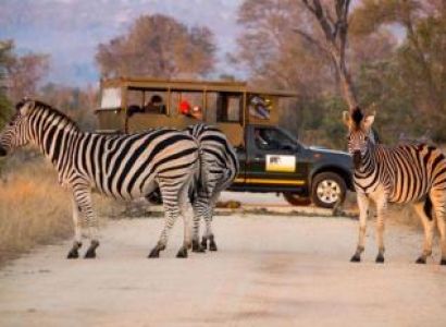 The Kruger Park Tour Package