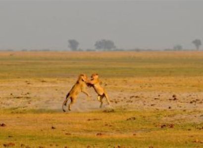 7 Day Okavango and Chobe Trail Package