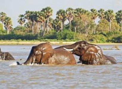 3 Days Selous Package