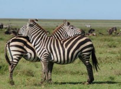 2 Days Zanzibar Safari Package