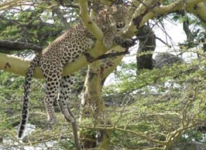 5 Days Zanzibar Safari Tour Package