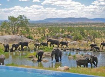 6 days kenya,Tanzania Memorable Safari Tour Package
