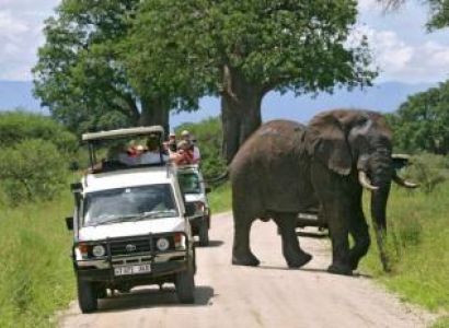 10 Days Kenya and Tanzania Explorer Package