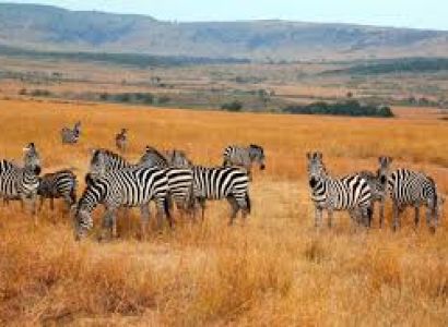 Masai Mara Package