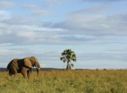 Wildlife Safari + Olive, Beer & Wine Tasting Package