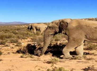 Aquila Private Game Lodge Package