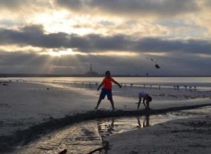 Cape West Coast Flower Tour and Game Drive Package