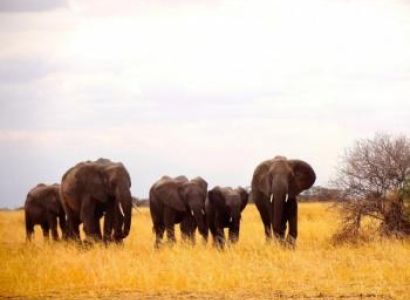 Ultimate Experience  Package