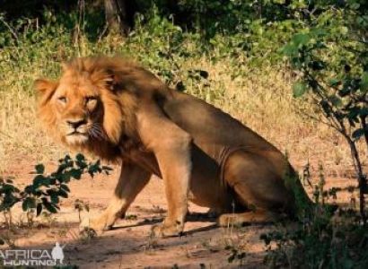 14 Day Wild Zambia Group Tour Package