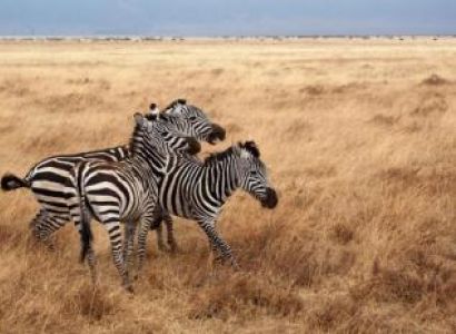 22 Day Grand Malawi with Zambia Safari Tour Package