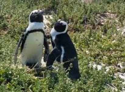 20 Day Swaziland, Lesotho and South Africa Tour Package