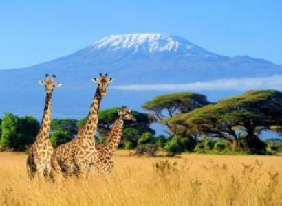18 Day Grand Kenya & Tanzania Private Tour Package
