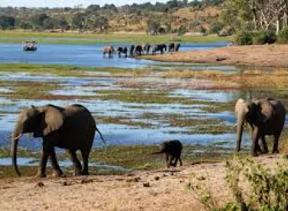 Add-on Kruger & Mpumalanga Package