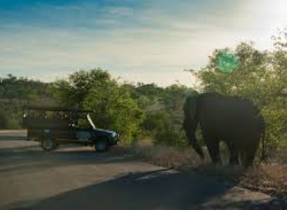Add-on Private Unfenced Safari Camp Package