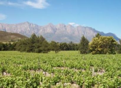 Garden Route Tours from Cape Town Package