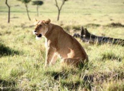 12 Days Kenya Golfing And Wildlife Safari Package