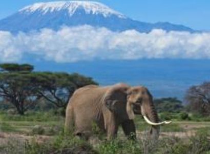 16 Day Kenya, Tanzania and Rwanda Experience Package