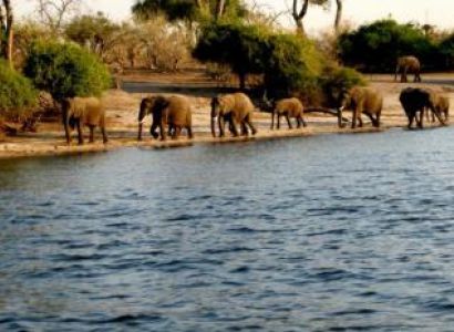 16 Day South Africa, Victoria Falls, and Northern Botswana Safari Package