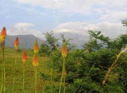 Drakensberg World Heritage Tour Package