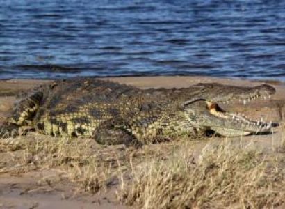 Botswana Fly In Safari Package