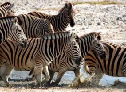 18 Day Ultimate Namibia Classic Package