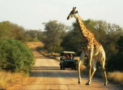 Spectacular South Africa 15 Days Guided Tour Package