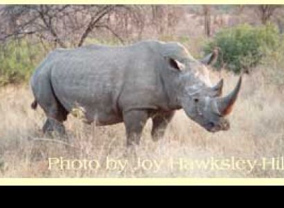 Cullinan Diamond Mine Tour