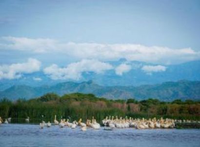 Rift Valley Lakes Trip Package